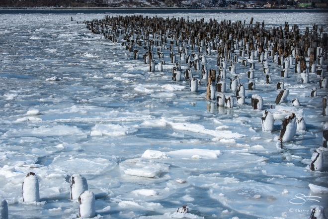 Ice and Pilings on the Hudson 2/25/2015