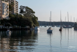 Rushcutters Bay early morning July 25