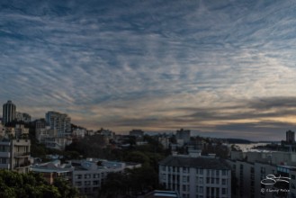 View of Rushcutters Bay at dawn from William Street July 26