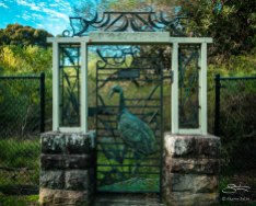 Wrought iron Gate in to Bird Sanctuary in Centennial Park, August 2, 2015