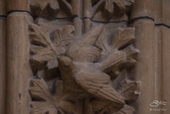 Decorative carving, Natural History Museum 12/22/2015