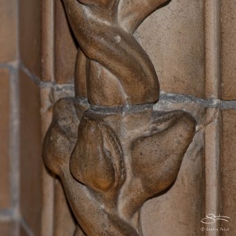 Decorative carving, Natural History Museum 12/22/2015