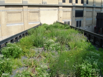 2009-08-03 High Line 07