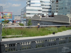 20090803 High Line 18