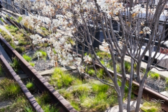 2011-04-17 High Line 15