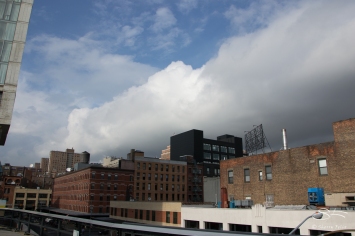 2011-06-14 High Line 05