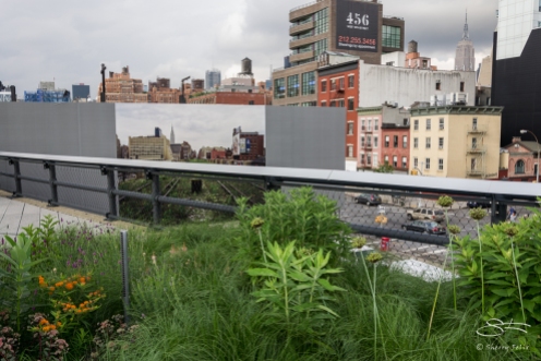 2011-06-14 High Line 32
