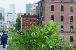 2011-06-14 High Line 95