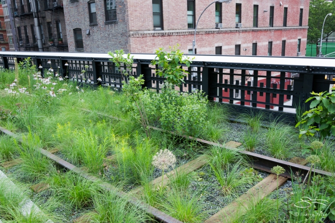 2011-06-14 High Line 100