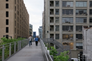 2011-06-14 High Line 103