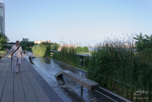 2011-07-09 High Line 31