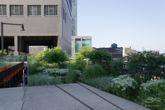 2011-07-09 High Line 66