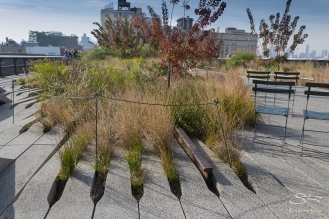 2011-11-03 High Line 22