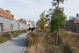 20111103 High Line 36.NEF