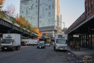 2011-11-11 High Line