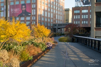 2011-11-11 High Line 11