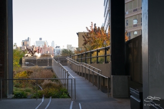 2011-11-11 High Line 16