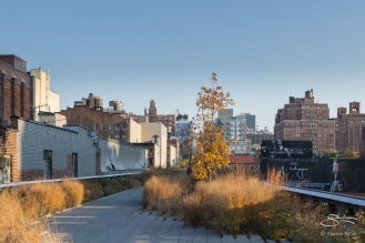 2011-11-11 High Line 23
