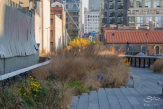 20111111 High Line 24