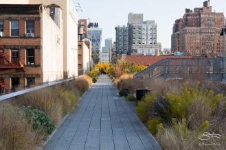 20111111 High Line 31.NEF