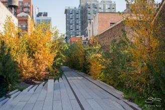 2011-11-11 High Line 38