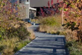 2011-11-22 High Line 05