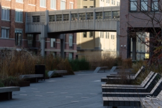 2011-11-22 High Line 15
