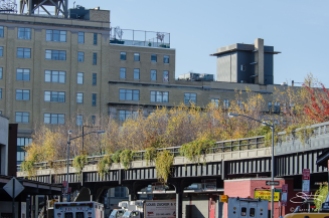 2011-11-22 High Line