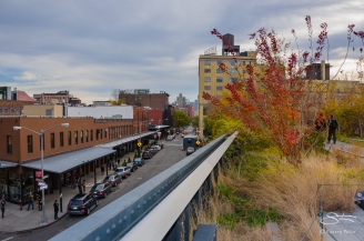 2011-11-27 High Line
