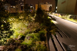 2011-11-30 High Line 12