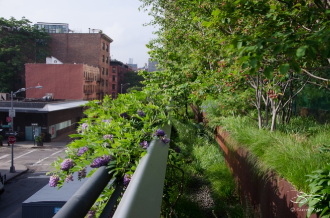 2012-05-23 High Line
