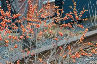 2013-02-25 High Line 01