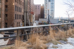 2015-03-09 High Line extension 05