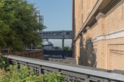2015-06-10 High Line 12