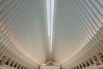 Oculus, WTC Transportation Hub, NYC 6/4/2016