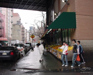 Market under Manhattan Bridge 3/6/2004