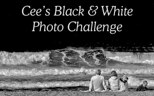Cee's B&W Photo Challenge